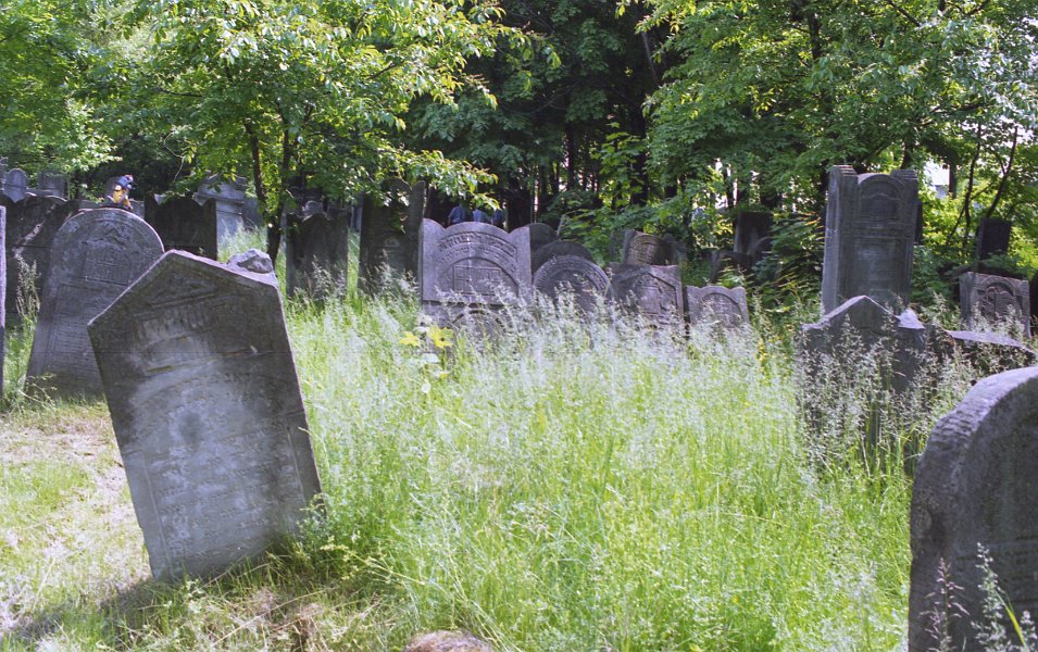 30-  Szydlowiec 97 Le cimetière Kirkut