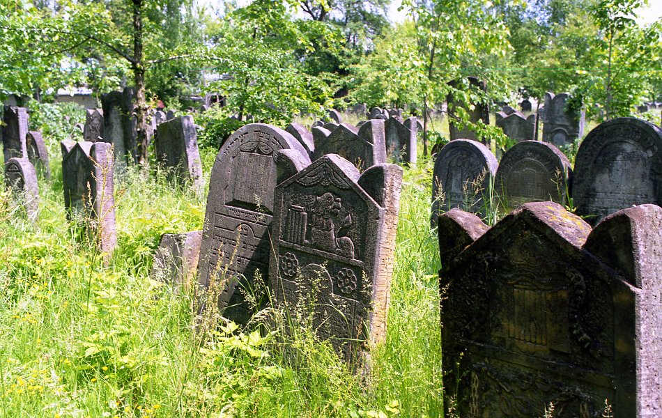31-  Szydlowiec 97 Le cimetière Kirkut