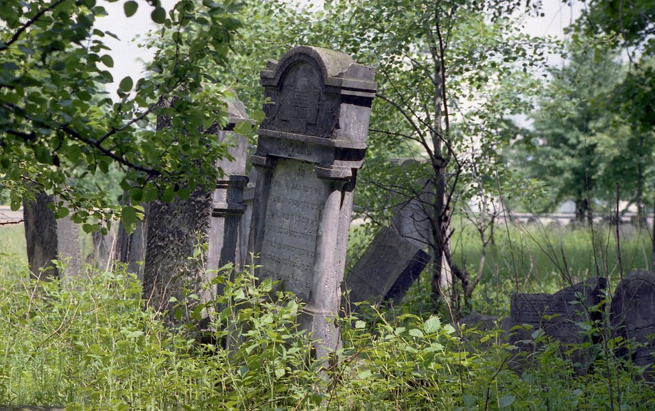 37-  Szydlowiec 97 Le cimetière Kirkut