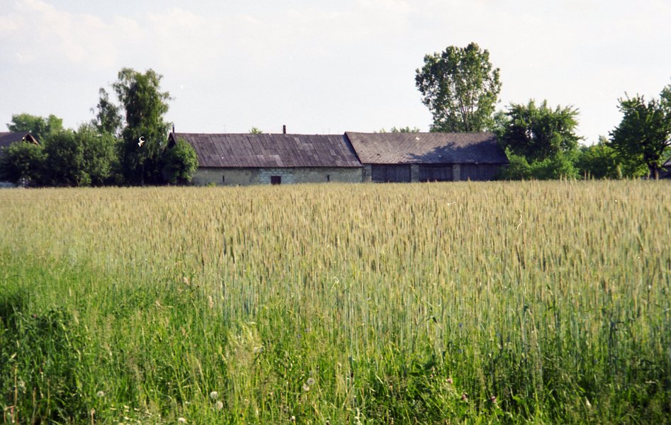 45- Szydlowiec 97 Les champs