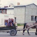 16- Szydlowiec 97 Il y a encore des chevaux