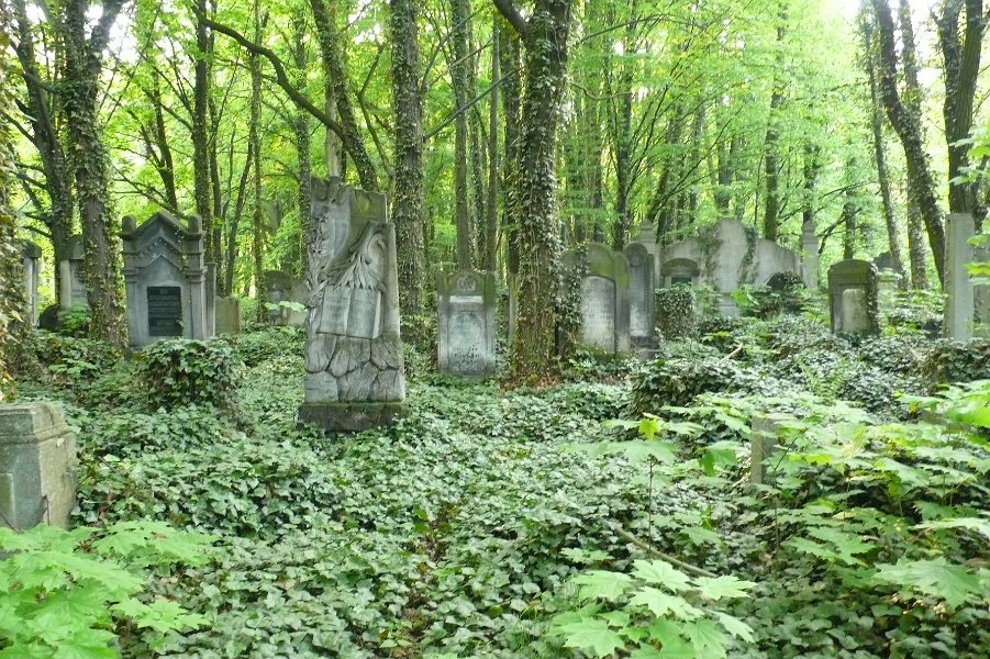 4- 3-3 Lodz cimetière