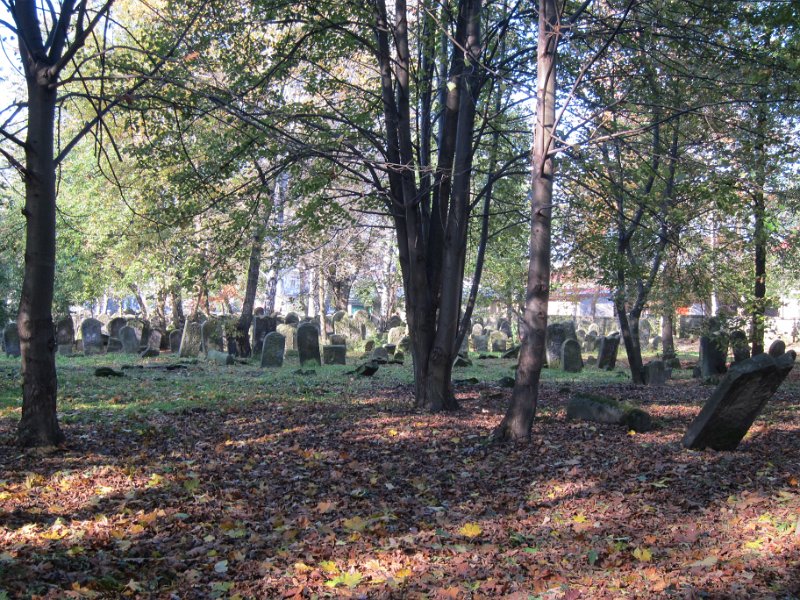 6-Szydlowiec le cimetière en 2014